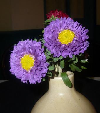 flowers1.jpg